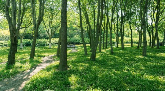 TERRASILVA et TERRANOVA à Mordelles (35) : une approche environnementale respectueuse et durable